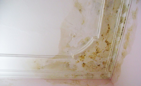 Nhà bị dột, thấm nước thường sẽ có nhiều vết ố vàng kém thẩm mỹ 